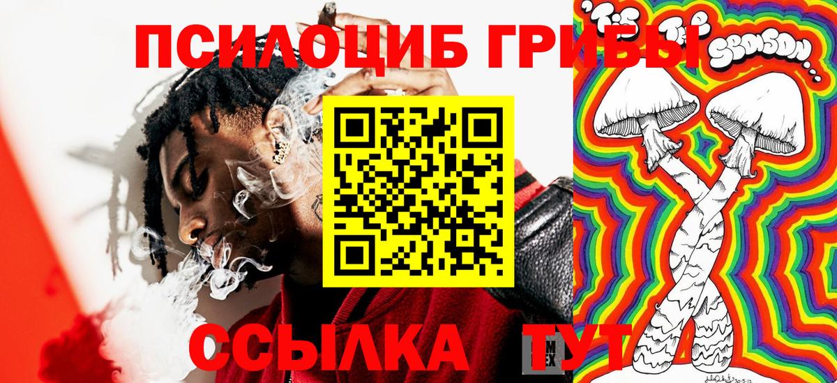 Гусев  Галлюциногенные грибы MAGIC MUSHROOMS  Галлюциногенные грибы MAGIC MUSHROOMS  Вход с VPN 