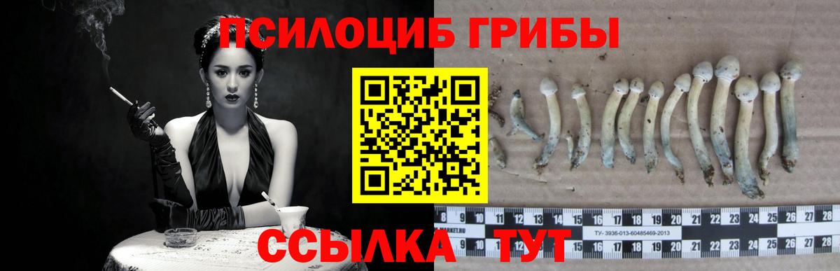 Галлюциногенные грибы Magic Shrooms Гусев