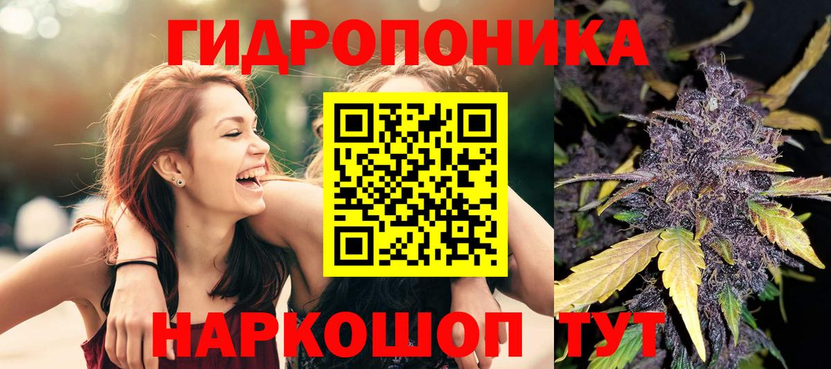 Гусев  Бошки Шишки ГИДРОПОН  Вход с VPN  Бошки Шишки LSD WEED  Шишки марихуана Bruce Banner  МАРИХУАНА марихуана 